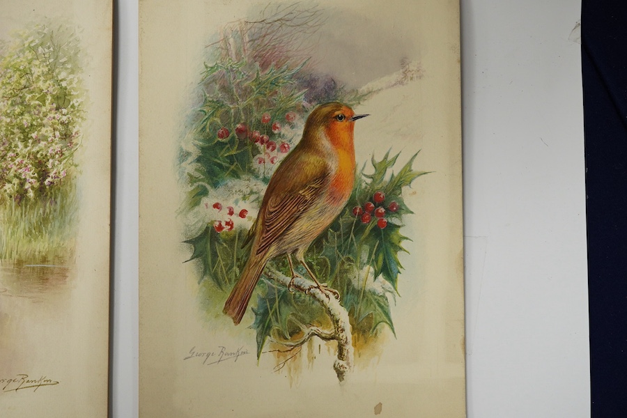 George Rankin (1864-1937), pair of original watercolours for postcard designs British birds, ‘robin’ and ‘kingfisher’ each signed, unframed, 26 x 19cm. Condition - fair